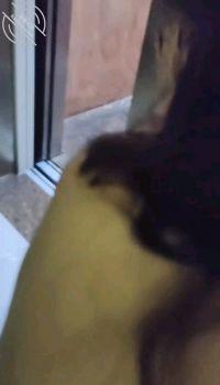 图片[3]-作者：叔叔与侄女的性福生活 《侄女体验肛塞在楼道被我操到潮喷》-老宋小屋