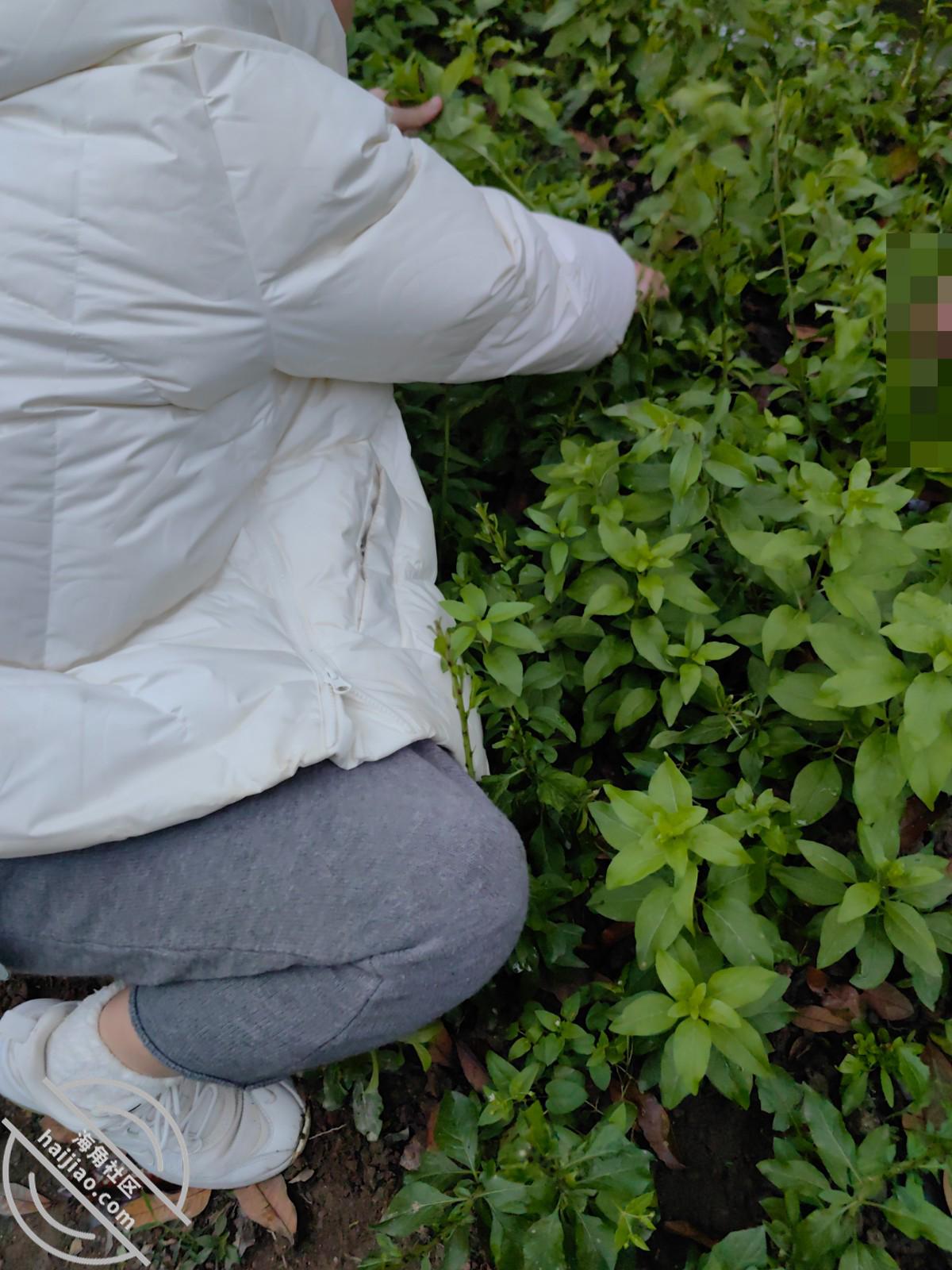 图片[3]-作者：乱伦淫声骚语 《146【海角原创】库存- 我狠狠打嫂子的屁股，对白很多，最后口爆吞精！》-老宋小屋