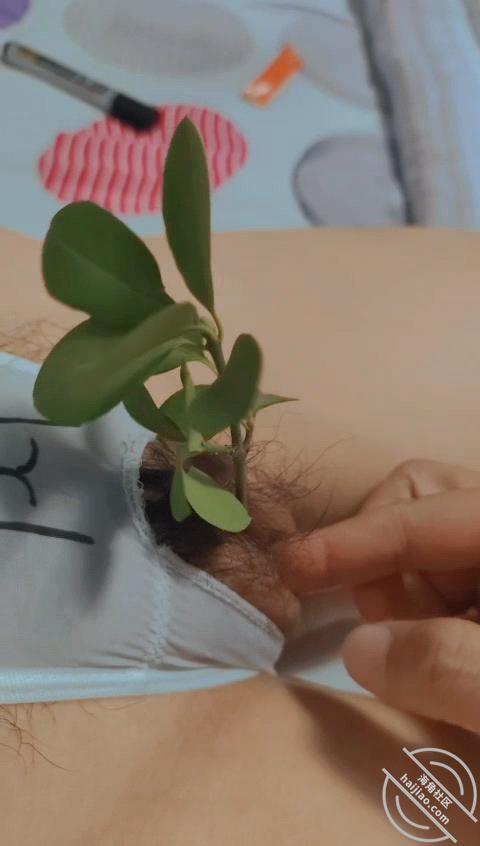 图片[4]-作者：熟控大胖 《图，熟女的肉丝足袜爱高潮》-老宋小屋