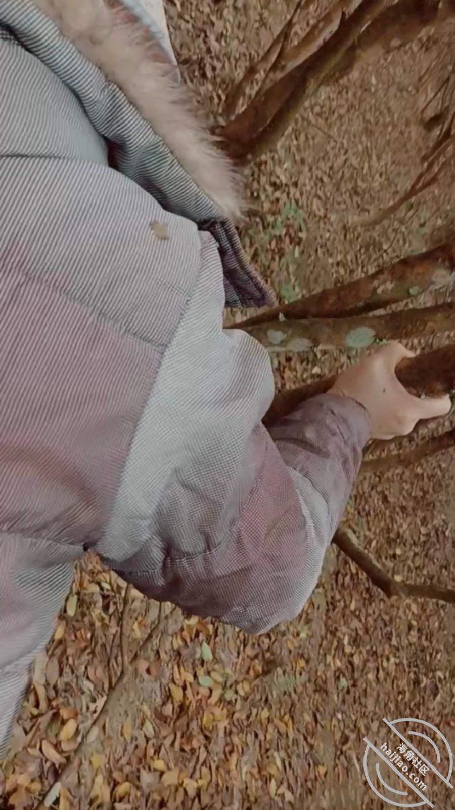 图片[4]-作者：南方母子 《(原创)我和妈妈39，和妈妈上山干活的第二天，野战成功拿下老妈》-老宋小屋