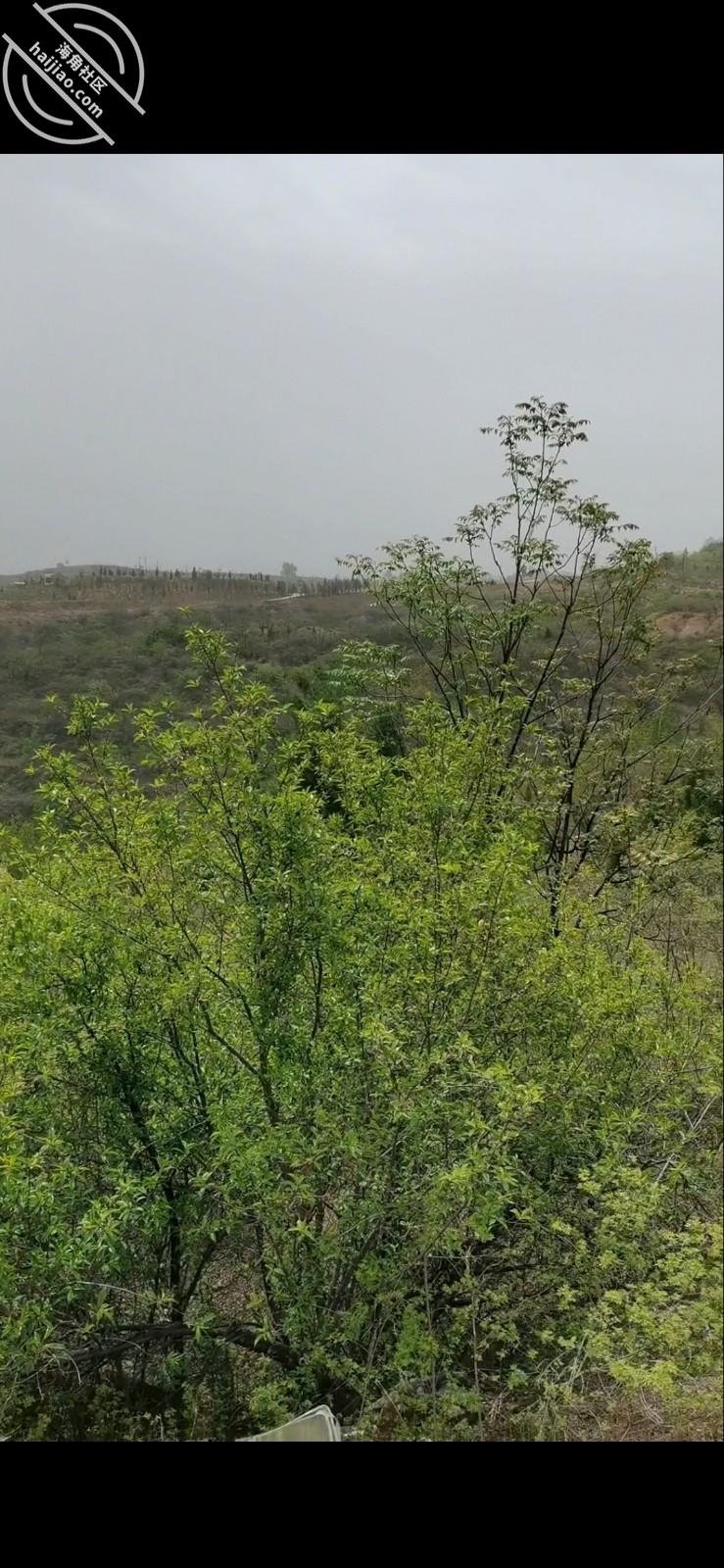 图片[5]-作者：宝马女科员 《原创13，宝马女科员中午值班被拉倒荒郊野外（下）》-老宋小屋