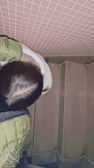 图片[5]-作者：亲姐的诱惑 《[原创视频]96.楼梯间爆操姐姐口爆吃精！有人上下楼都继续把骚逼操到最后》-老宋小屋