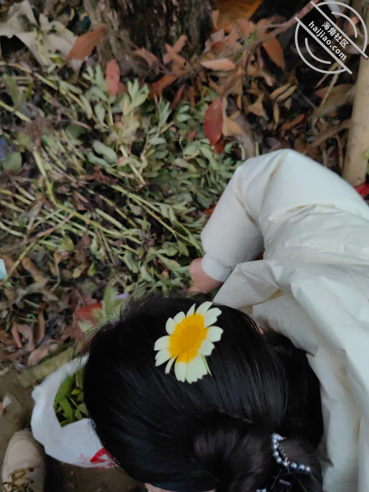 图片[5]-作者：乱伦淫声骚语 《146【海角原创】库存- 我狠狠打嫂子的屁股，对白很多，最后口爆吞精！》-老宋小屋