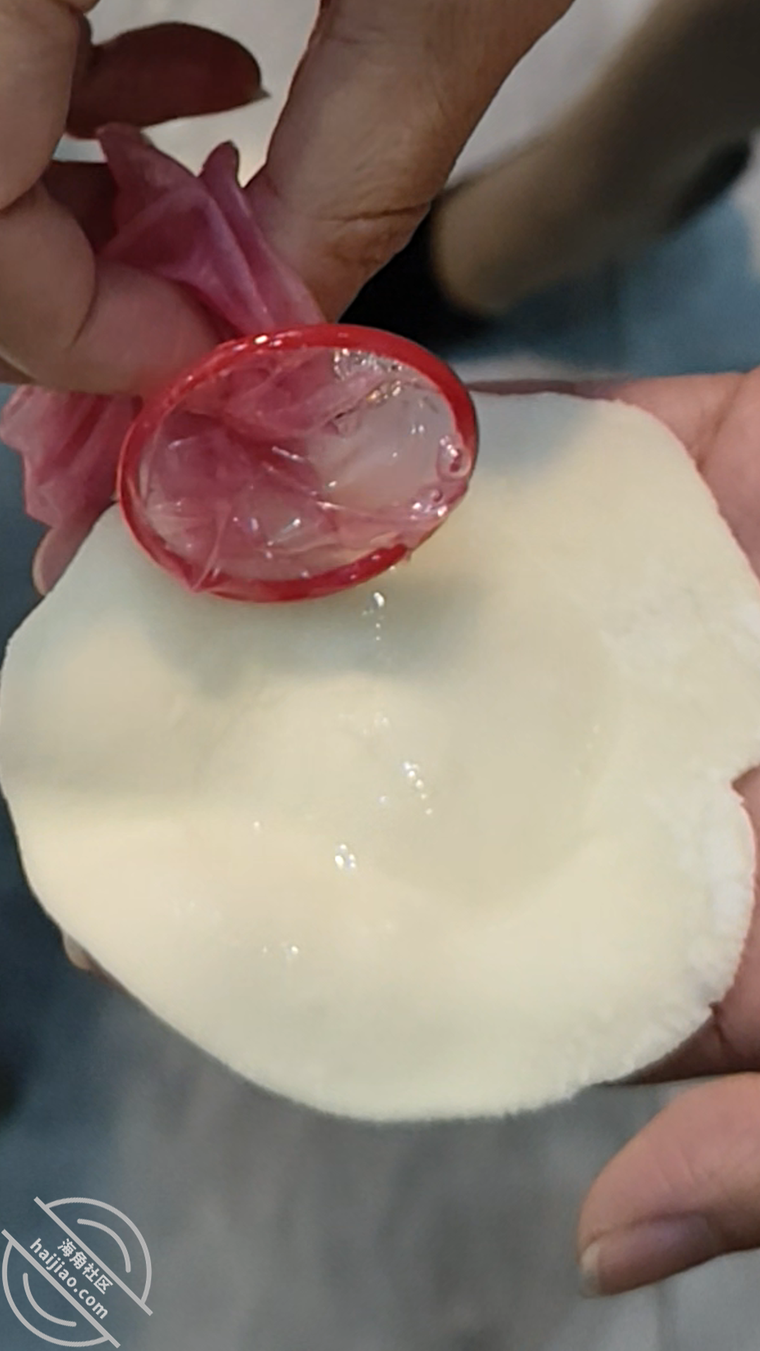 图片[6]-作者：相依为命的母子 《妈妈一边包饺子一边坐在我的鸡巴上扭动身体(视频贴)有互动有字幕！》-老宋小屋