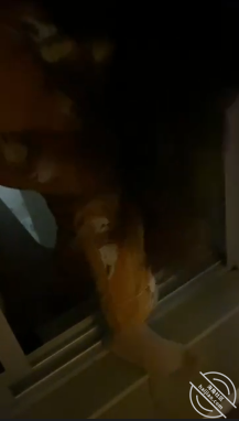 图片[6]-作者：想双飞老婆姐姐 《视频来了，媳妇在里屋睡觉，大姨子凌晨爬窗出来在一楼阳台对着大马路被我爆操》-老宋小屋