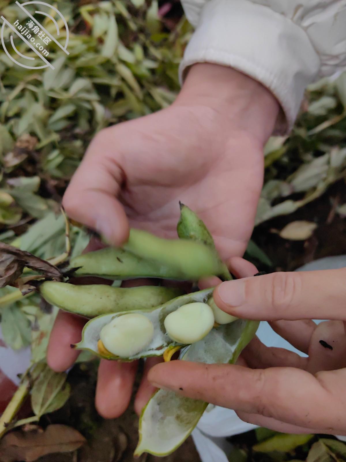 图片[7]-作者：乱伦淫声骚语 《146【海角原创】库存- 我狠狠打嫂子的屁股，对白很多，最后口爆吞精！》-老宋小屋