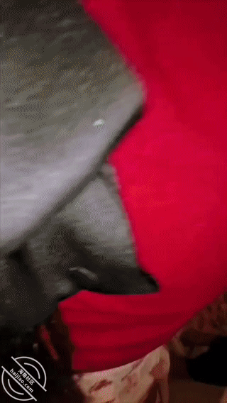 图片[7]-作者：亲姐的诱惑 《【原创视频】116在小外甥面前操姐姐，被他发现后他说不看我们，他要看手机》-老宋小屋