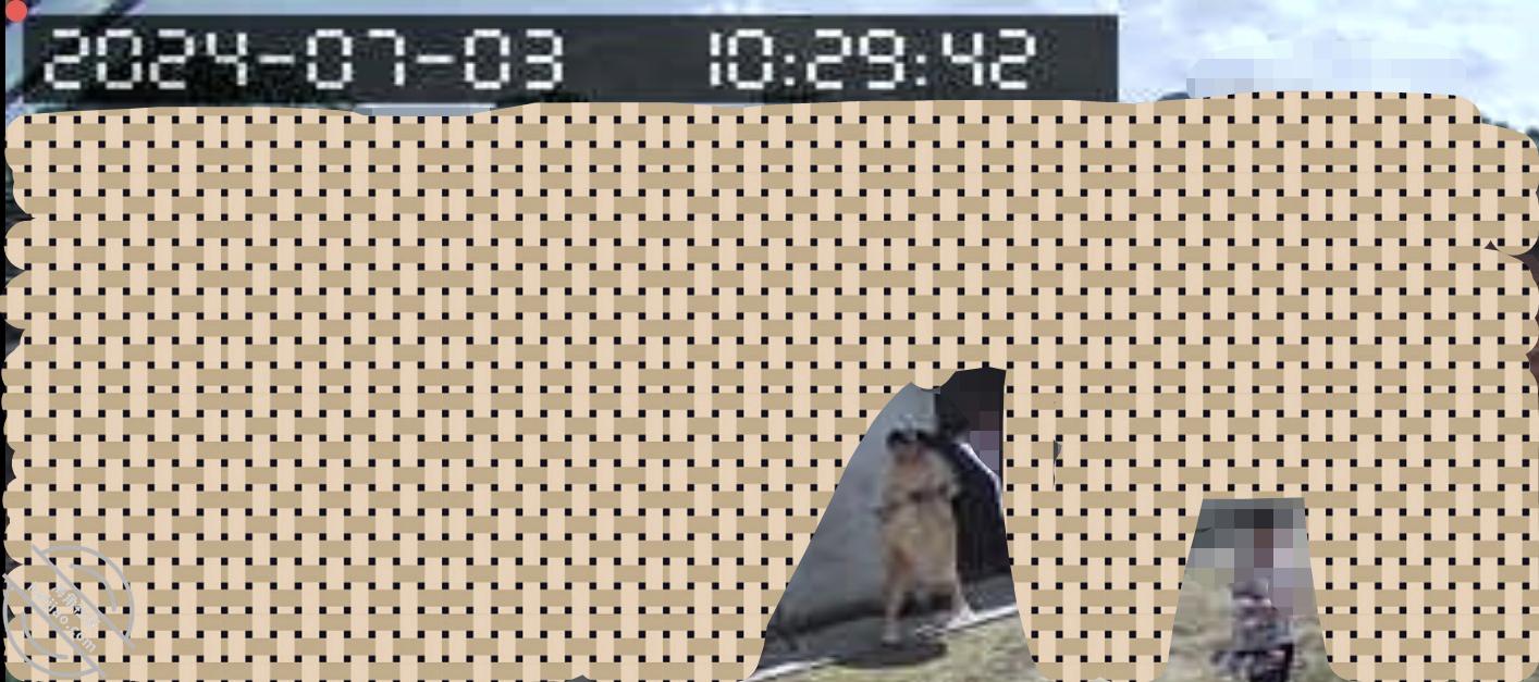 图片[7]-作者：妈妈的味道（干妈变成了情人） 《(原创视频)83：东北干妈穿豹纹开档连体服效劳儿子，车站上车前奖励打炮》-老宋小屋