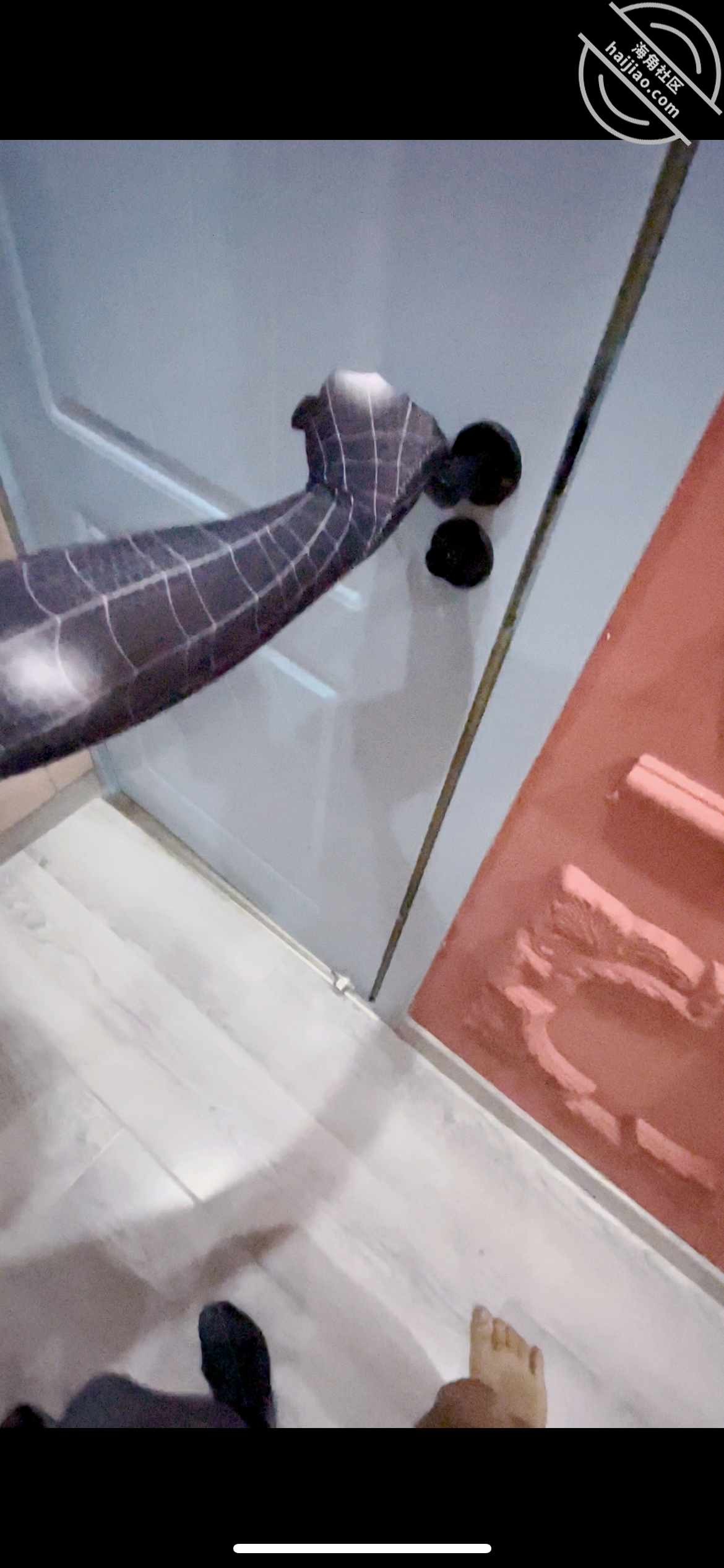 图片[8]-作者：强奸少妇邻居 《（原创视频）电影院门口操美女蜘蛛侠邻居，被外面漂亮小姐姐发现了，好刺激啊》-老宋小屋