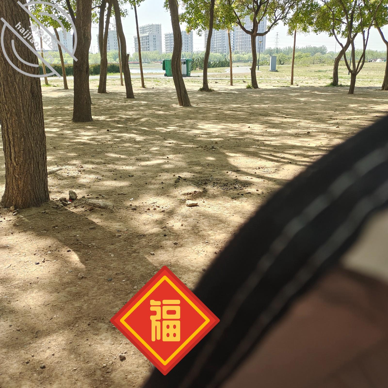 图片[8]-作者：回家的诱惑之母爱至上 《回家的诱惑之和妈妈户外野炊帐篷里干炮！》-老宋小屋