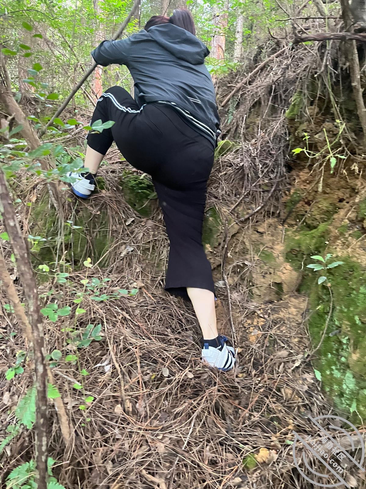 图片[8]-作者：性成瘾爱有价 《我终于上了懂我爱我的大姐18 真实无套狂操大姐高潮两次》-老宋小屋